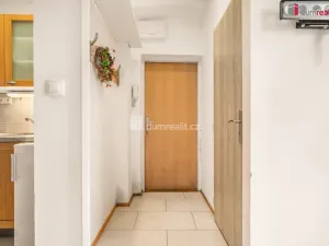 Prodej bytu 1+kk, Praha - Žižkov, Milíčova, 19 m2