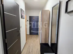 Prodej bytu 1+kk, Olomouc, Wittgensteinova, 30 m2