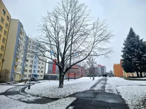 Pronájem bytu 1+1, Ostrava - Poruba, Pavlouskova, 38 m2