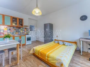 Prodej bytu 2+kk, Praha - Žižkov, Biskupcova, 46 m2