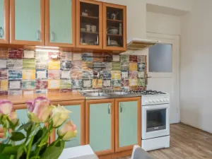 Prodej bytu 2+kk, Praha - Žižkov, Biskupcova, 46 m2