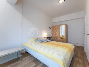 Prodej bytu 2+kk, Praha - Žižkov, Biskupcova, 46 m2