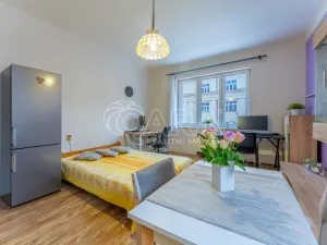Prodej bytu 2+kk, Praha - Žižkov, Biskupcova, 46 m2