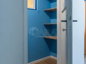 Prodej bytu 2+kk, Praha - Žižkov, Biskupcova, 47 m2