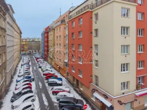 Prodej bytu 2+kk, Praha - Žižkov, Biskupcova, 47 m2