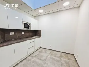 Pronájem kanceláře, Plzeň, Rybářská, 152 m2