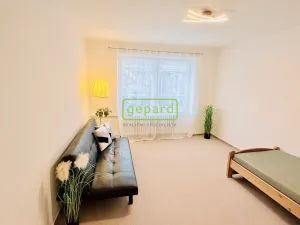 Pronájem bytu 2+1, Solenice, 50 m2