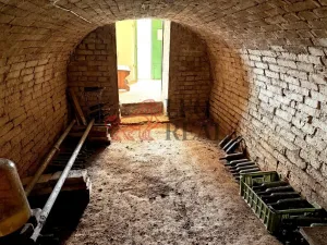 Prodej vinného sklepa, Týnec, Sportovní, 34 m2