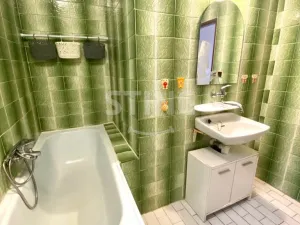 Pronájem rodinného domu, Branka u Opavy, Selská, 200 m2