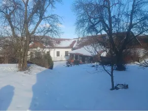 Prodej zemědělské usedlosti, Horní Radslavice, 752 m2