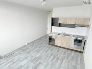 Prodej bytu 1+kk, Most, U Věžových domů, 22 m2