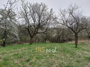 Prodej pozemku, Blučina, 4446 m2