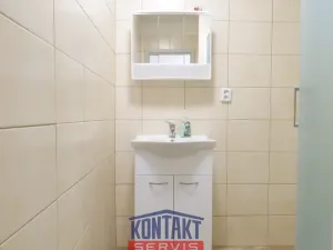 Pronájem bytu 1+1, České Budějovice - České Budějovice 2, 44 m2