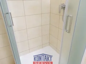 Pronájem bytu 1+1, České Budějovice - České Budějovice 2, 44 m2