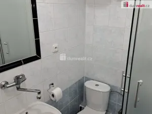 Pronájem bytu 1+kk, Praha - Velká Chuchle, Starochuchelská, 20 m2