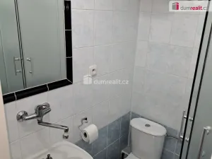 Pronájem atypického bytu, Praha - Velká Chuchle, Starochuchelská, 20 m2