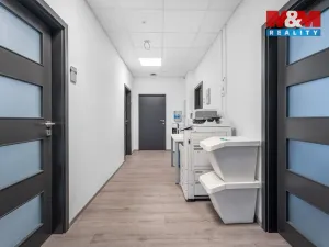 Pronájem kanceláře, Ústí nad Labem, Havířská, 157 m2