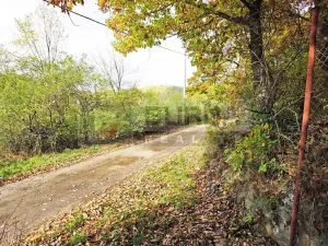 Prodej chaty, Kaliště, 30 m2