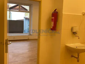 Pronájem komerční nemovitosti, České Budějovice, Hradební, 35 m2