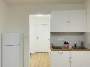 Pronájem bytu 1+kk, Praha - Chodov, Čenětická, 23 m2