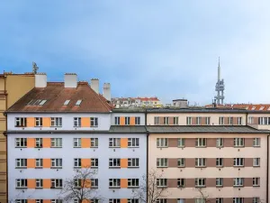 Prodej bytu 1+1, Praha - Žižkov, Baranova, 49 m2