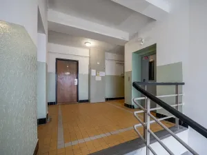 Prodej bytu 1+1, Praha - Žižkov, Baranova, 49 m2