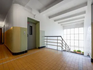 Prodej bytu 1+1, Praha - Žižkov, Baranova, 49 m2