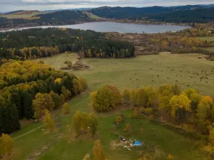 Prodej komerčního pozemku, Polná na Šumavě, 17493 m2
