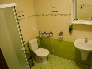 Pronájem ubytování, Veselí nad Moravou, Sadová, 170 m2