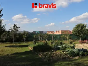 Pronájem bytu 3+1, Říčky, 90 m2