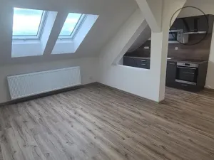Pronájem bytu 2+kk, České Budějovice, Novohradská, 53 m2