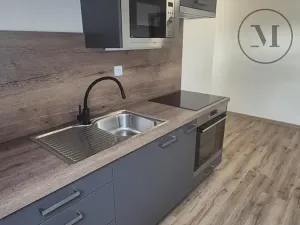 Pronájem bytu 2+kk, České Budějovice, Novohradská, 53 m2