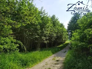 Prodej sadu/vinice, Kačice, K zahradě, 43712 m2