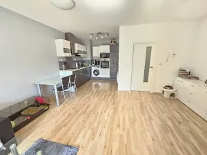 Pronájem bytu 2+kk, Brno, Řípská, 59 m2