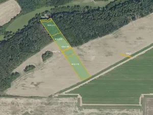 Prodej lesa, Vyšehořovice, 19741 m2