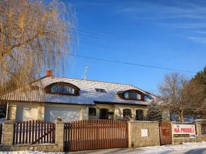 Prodej vícegeneračního domu, Olšany, 392 m2