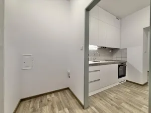 Pronájem bytu 2+1, Opava - Předměstí, Hviezdoslavova, 45 m2