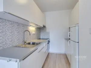 Prodej bytu 2+kk, Praha - Komořany, Za sídlištěm, 45 m2