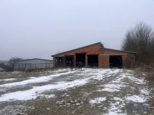 Prodej zemědělského objektu, Pavlov, 20000 m2