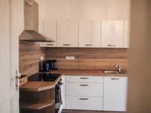 Pronájem bytu 1+1, Olomouc - Pavlovičky, Gorkého, 47 m2