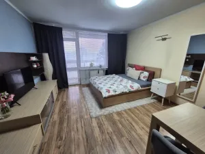 Pronájem bytu 1+kk, Liberec - Liberec XIV-Ruprechtice, Ostravská, 30 m2