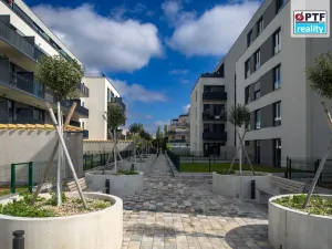 Prodej bytu 2+kk, Plzeň, Železná, 68 m2