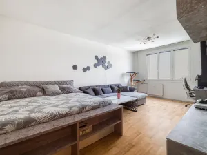 Prodej bytu 2+1, Plzeň, Dlouhá, 62 m2