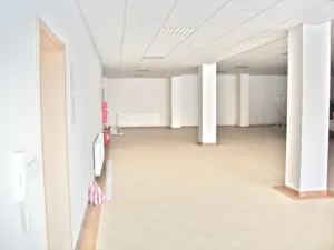 Pronájem obchodního prostoru, Prostějov, Koželuhova, 315 m2