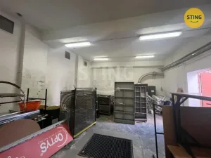 Pronájem skladu, Opava, Rybářská, 80 m2