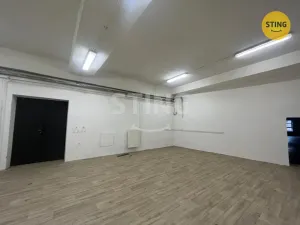 Pronájem skladu, Opava, Rybářská, 80 m2