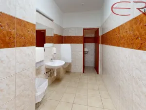 Pronájem kanceláře, Mladá Boleslav - Mladá Boleslav IV, 1800 m2