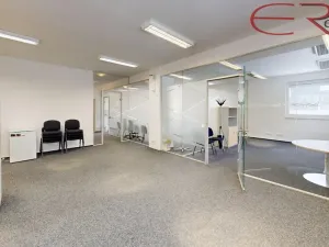 Pronájem kanceláře, Mladá Boleslav - Mladá Boleslav IV, 1800 m2