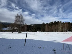 Prodej pozemku pro bydlení, Srní, 3812 m2