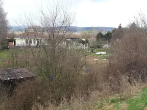 Prodej zahrady, Mohelnice, 391 m2